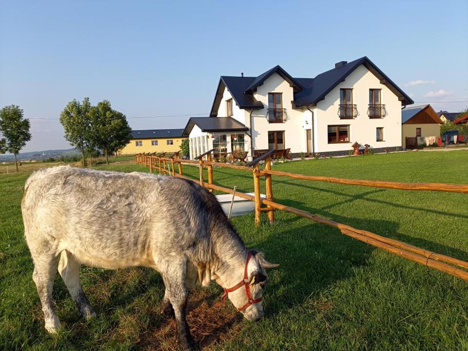 Zagroda Na Borach Jablonka  Exterior photo
